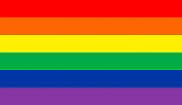 Photo rainbow flag is hoisted at FernFH. Photo credit: Ferdinand Porsche FernFH