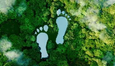 Headerbild: Newsbeitrag Internationale Forscher*innen: Umweltfreundliches Verhalten im täglichen Leben (c) iStock