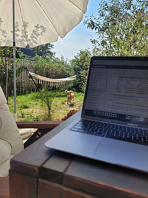 Studieren mit Haustier: Hund Studieren mit Haustier: Hund